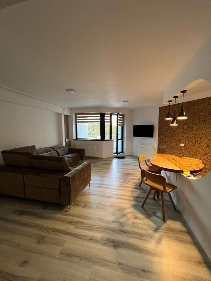 Coca Apart Mountain View Sinaia Exterior photo