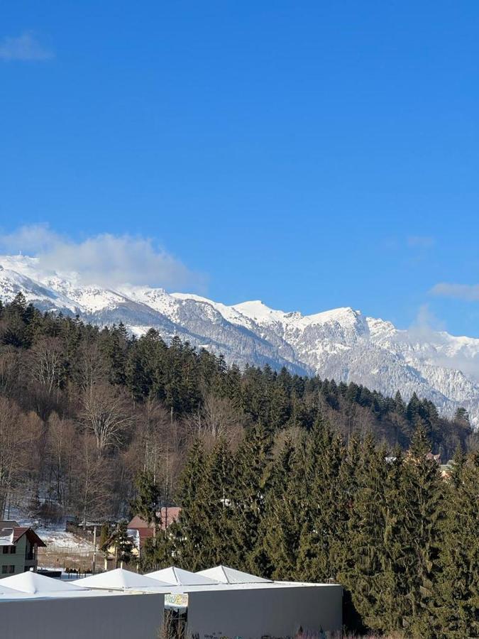 Coca Apart Mountain View Sinaia Exterior photo
