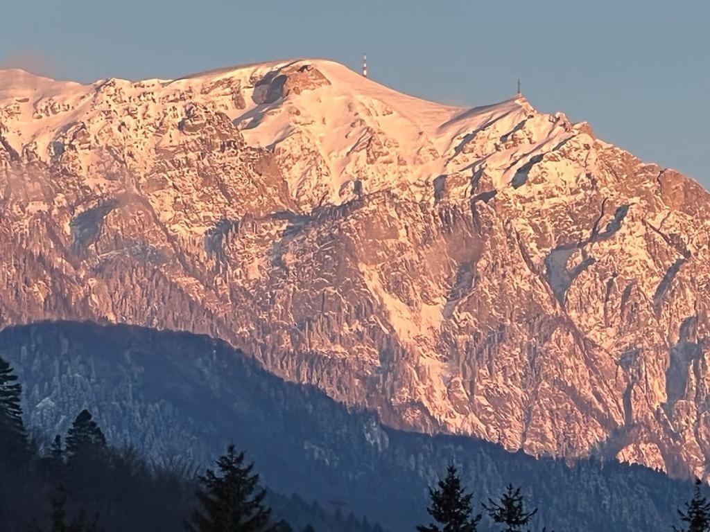 Coca Apart Mountain View Sinaia Exterior photo